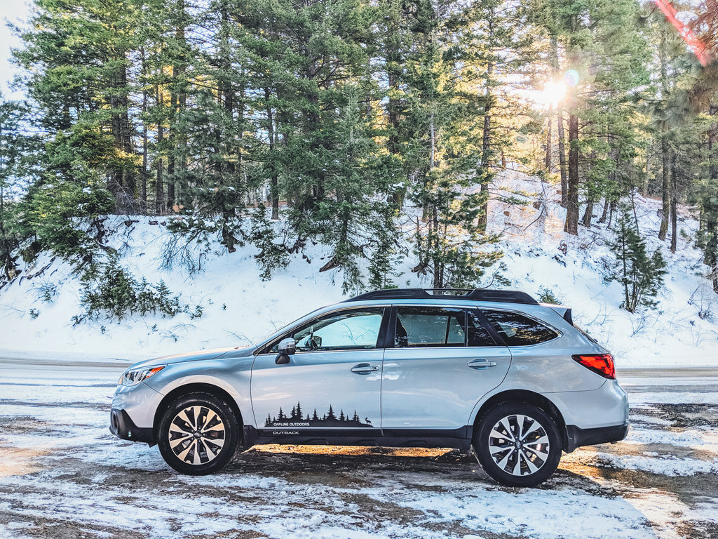 Pine Tree Forest Decals