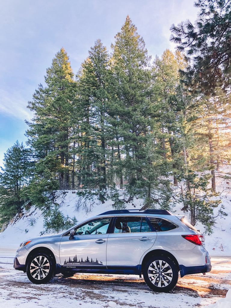 Pine Tree Forest Decals